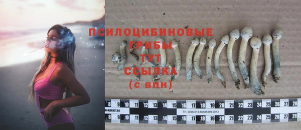 ГАЛЛЮЦИНОГЕННЫЕ ГРИБЫ Арсеньев