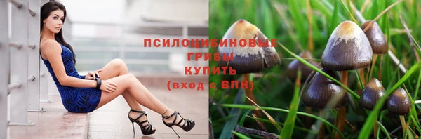 Альфа ПВП Аркадак