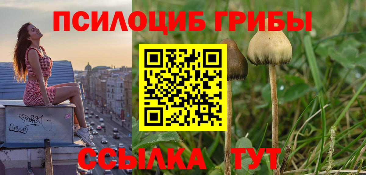 Асбест  цены наркотик  Галлюциногенные грибы ЛСД  Вход с VPN  Псилоцибиновые грибы MAGIC MUSHROOMS 